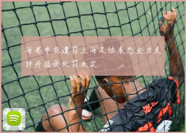 海港申花遭罚上海足协表态全力支持并接受处罚决定