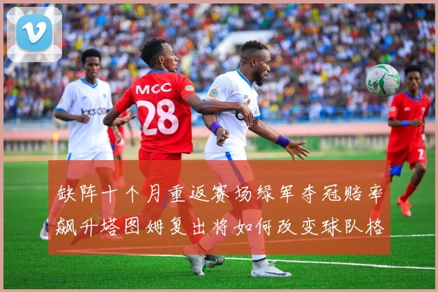 缺阵十个月重返赛场绿军夺冠赔率飙升塔图姆复出将如何改变球队格局
